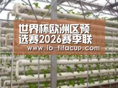 环境展示六