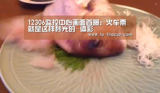 12306监控中心画面首曝:火车票就是这样秒光的-体彩(图2) 竞彩